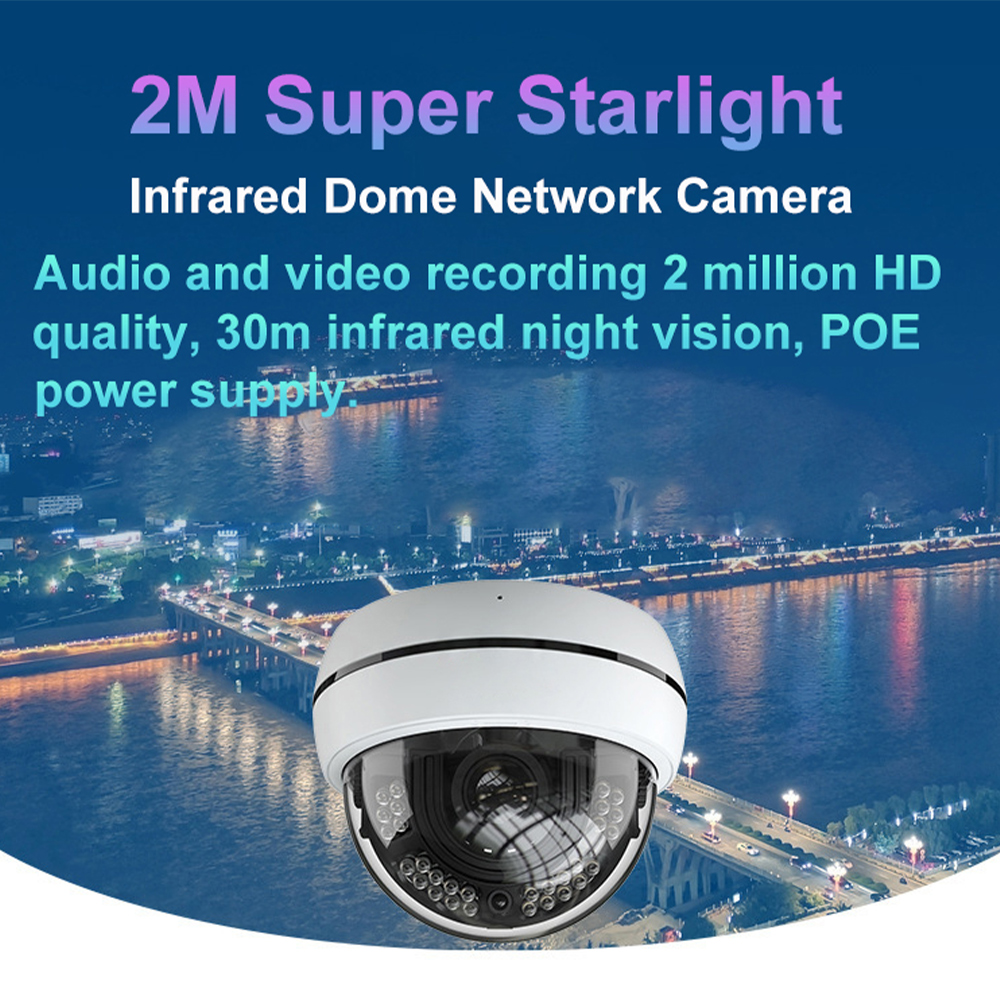 IP Surveillance Camera Custom Factory Scenic 2Mp Shop Infrared Hemisphere Network Wireless Camera for Customer flow statistics