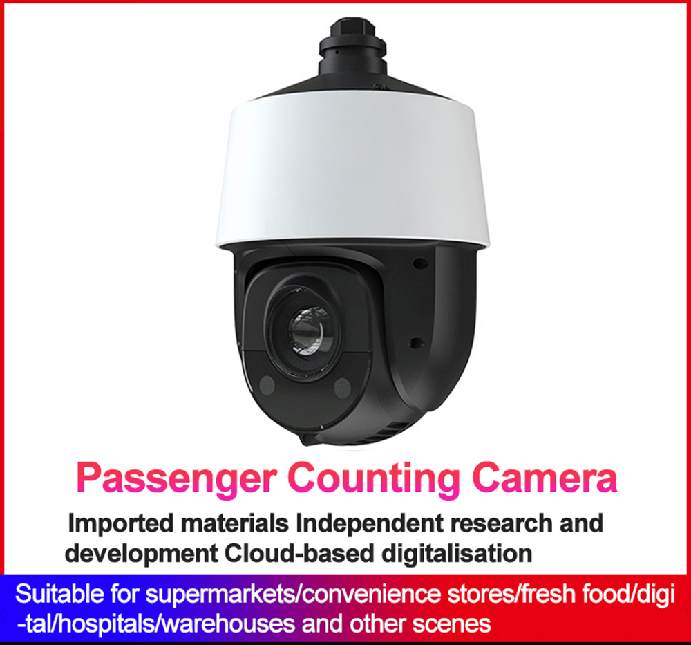 Passenger Flow Statistics Camera Monitoring Manufacturers Direct Sales Infrared Hd Waterproof Power Hemisphere Network Camera