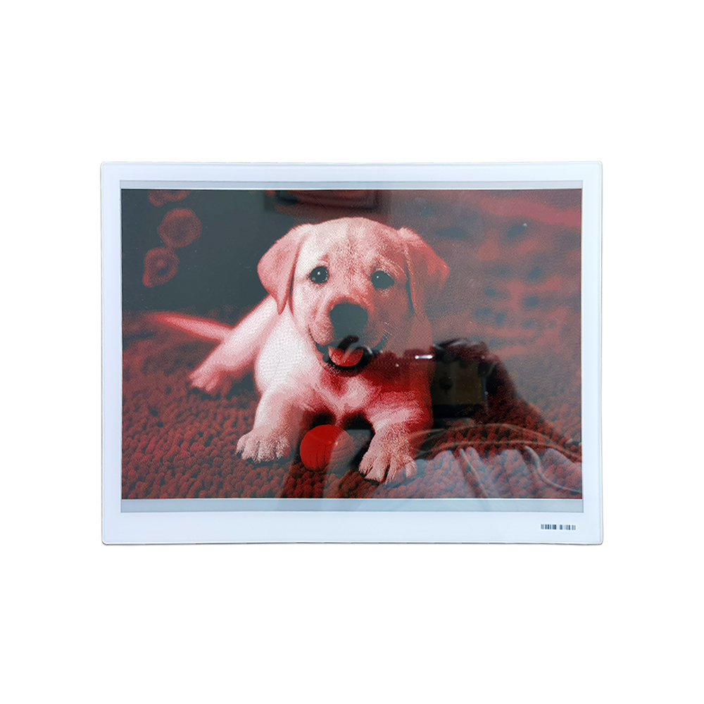 Supplier Hot-Selling E-Ink 13.3 Inch Three-Colour Electronic Shelf Label Frame Price Tag Esl Labels Epaper E Ink Display Factory
