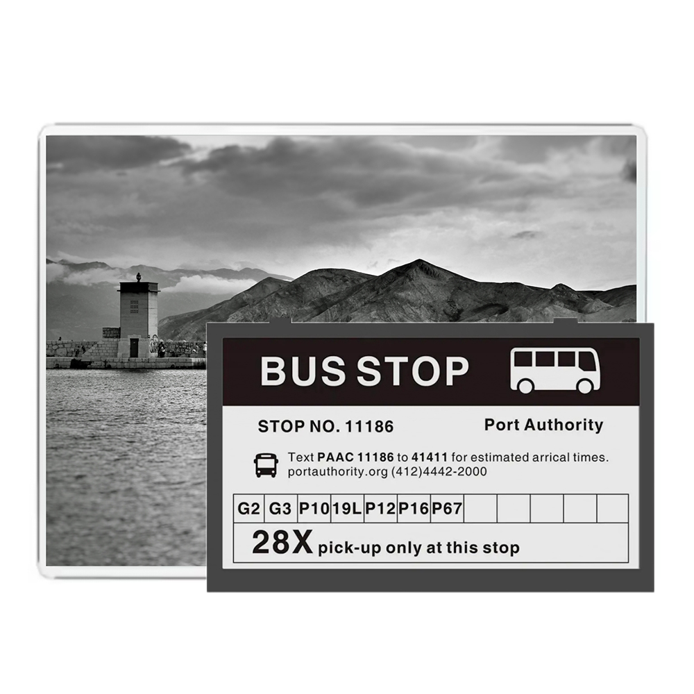 New Environmental Friendly  Largest Ec 42 Inch E-Ink Big Screen Menu Advertising Display Large E-Ink Display Support Api & Sdk 